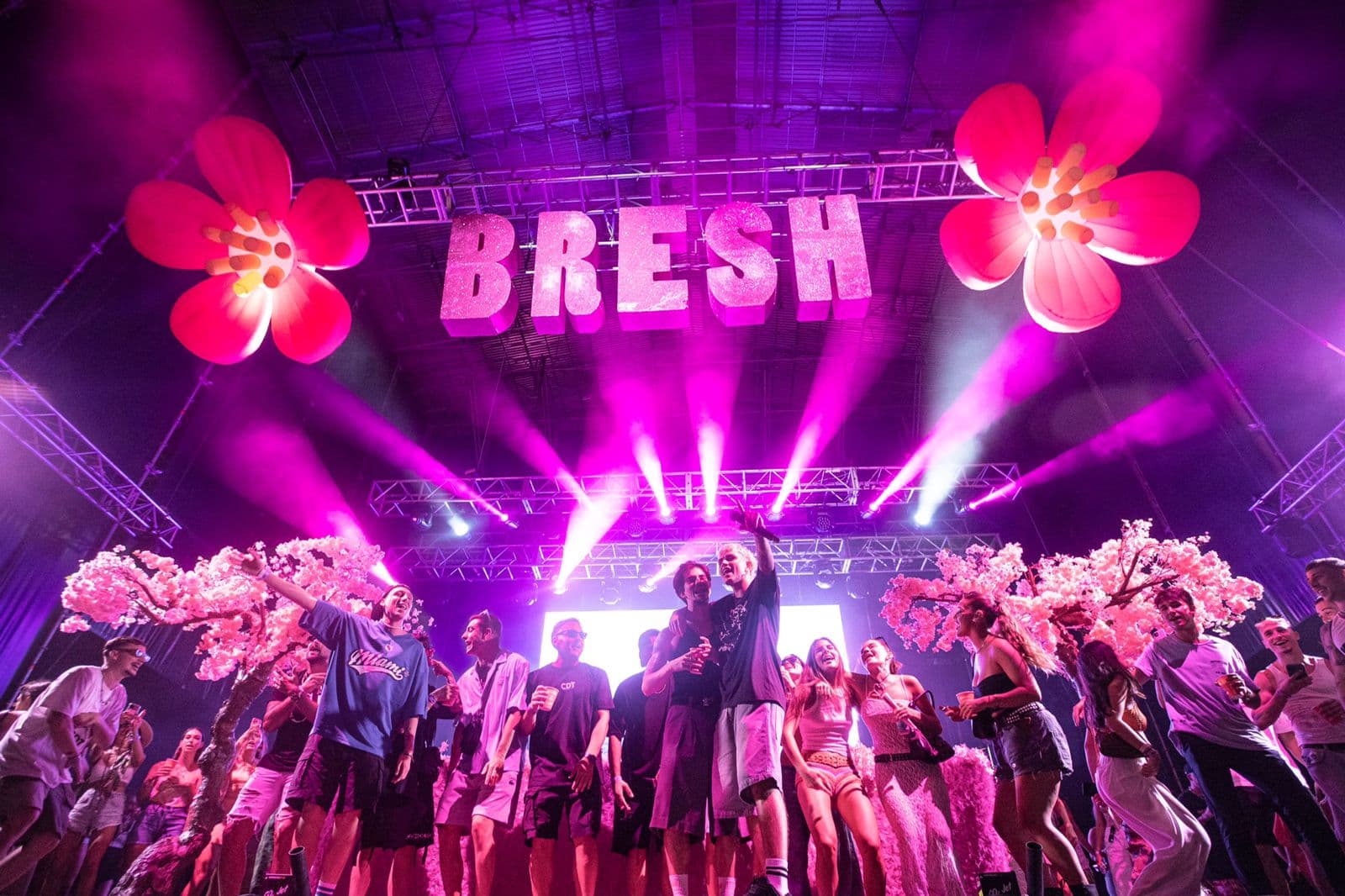 Fiesta Bresh